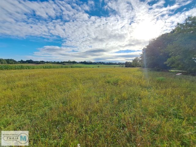 Działka inwestycyjna Pierzchnica. Zdjęcie 2