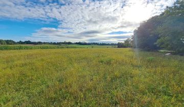 Działka inwestycyjna Pierzchnica