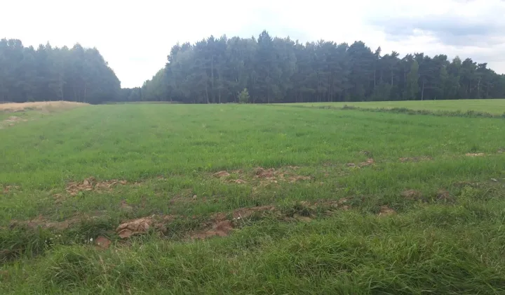 Działka rolno-budowlana Zygmuntówek