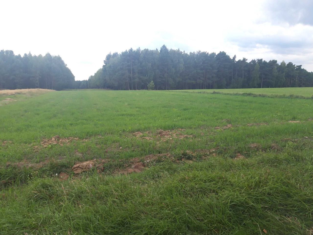 Działka rolno-budowlana Zygmuntówek