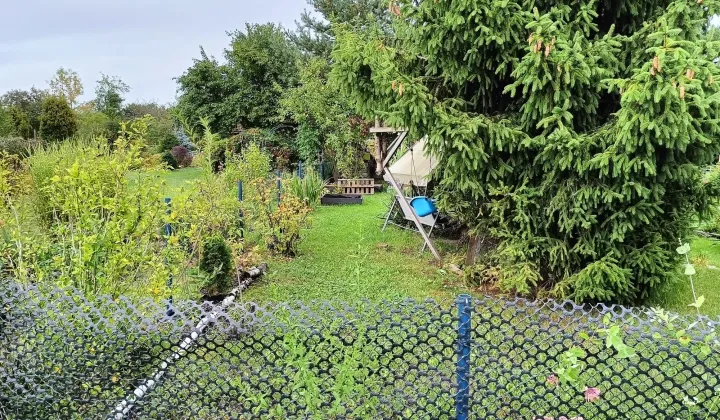 Działka rod Wrocław Psie Pole, ul. Bierutowska