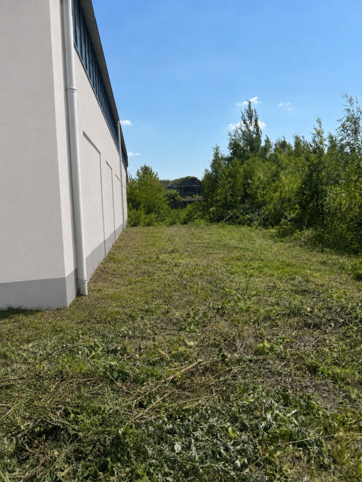 Hala/magazyn Katowice Szopienice, ul. Roździeńska. Zdjęcie 3