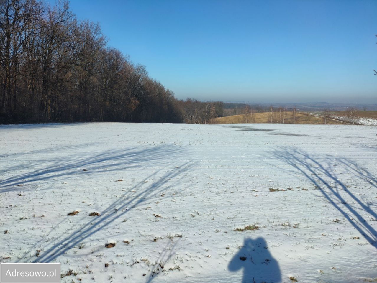 Działka budowlana Celiny. Zdjęcie 19