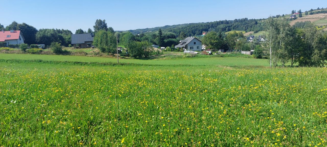Działka budowlana Borek Stary Podklasztor. Zdjęcie 7