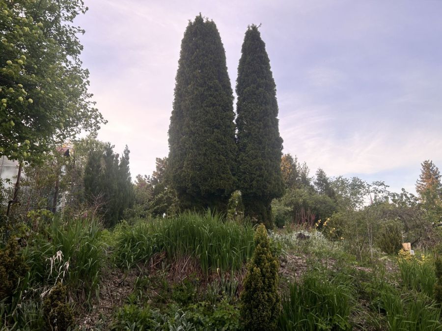 Działka rod Gdańsk Jasień, ul. Źródlana. Zdjęcie 6