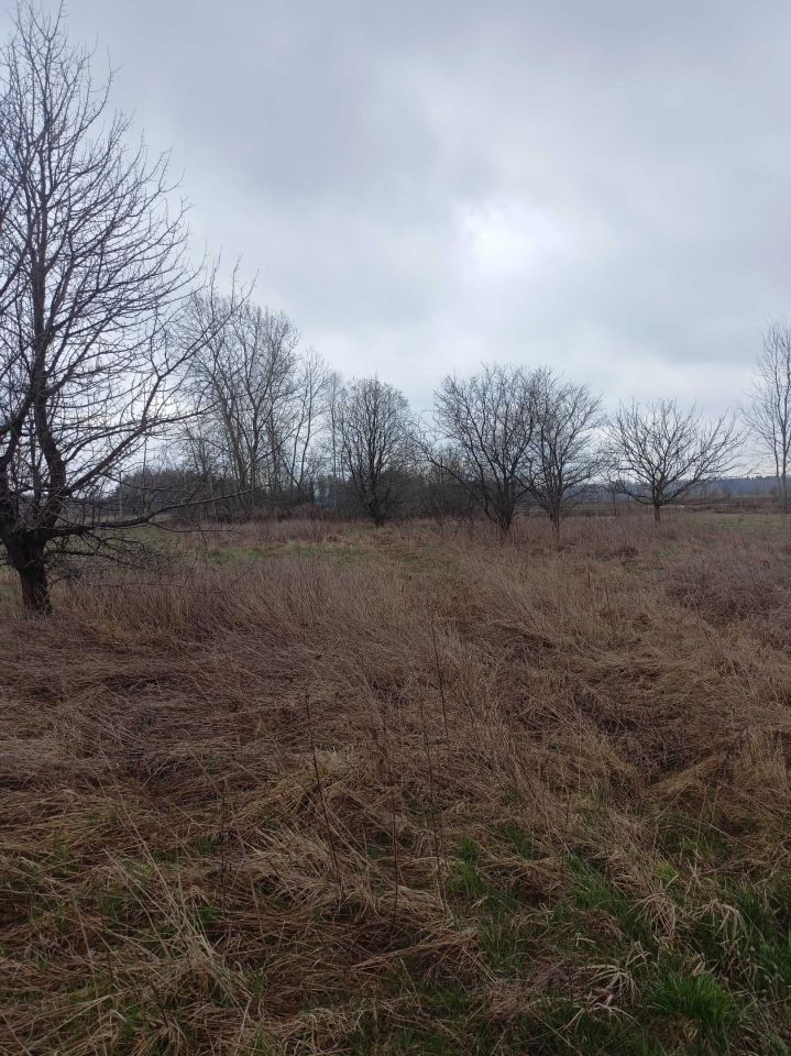 Działka rolna Baczki. Zdjęcie 4