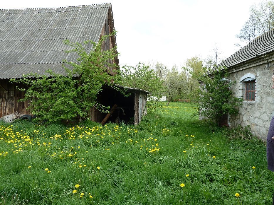 Działka rolno-budowlana Boduszów. Zdjęcie 8