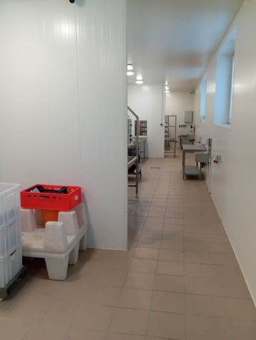 Nieruchomość komercyjna Osiecza Pierwsza. Zdjęcie 4
