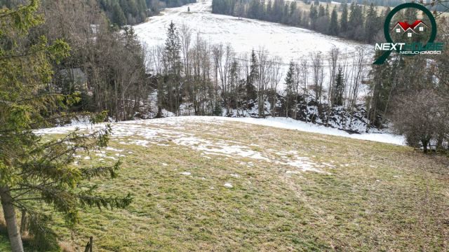 Działka inwestycyjna Dzianisz. Zdjęcie 4