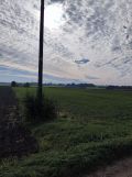 Działka rolna Przydatki Gołaszewskie. Zdjęcie 2