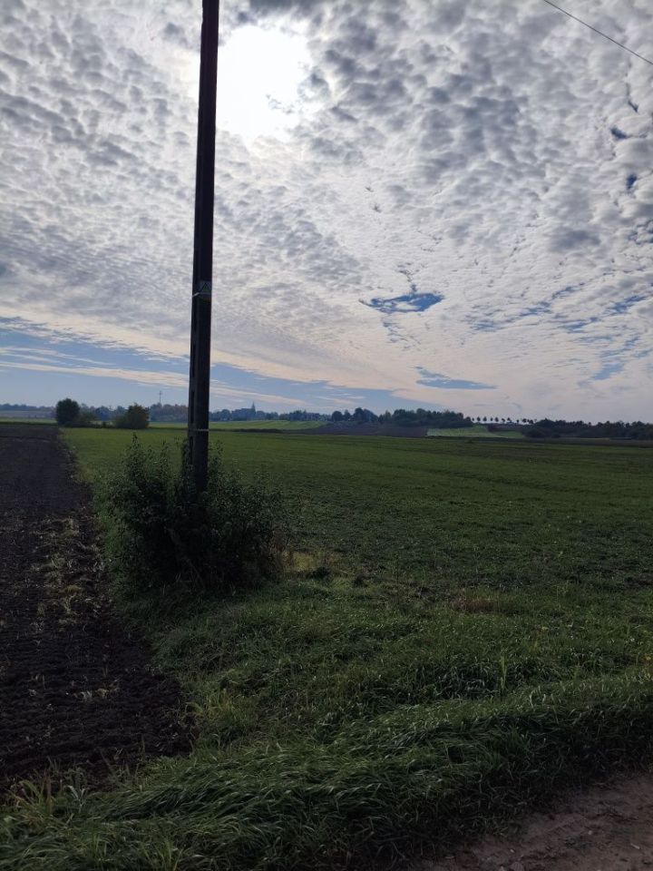 Działka rolna Przydatki Gołaszewskie. Zdjęcie 3