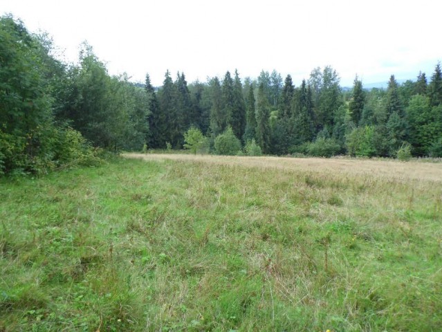 Działka rolna Białka Tatrzańska. Zdjęcie 1