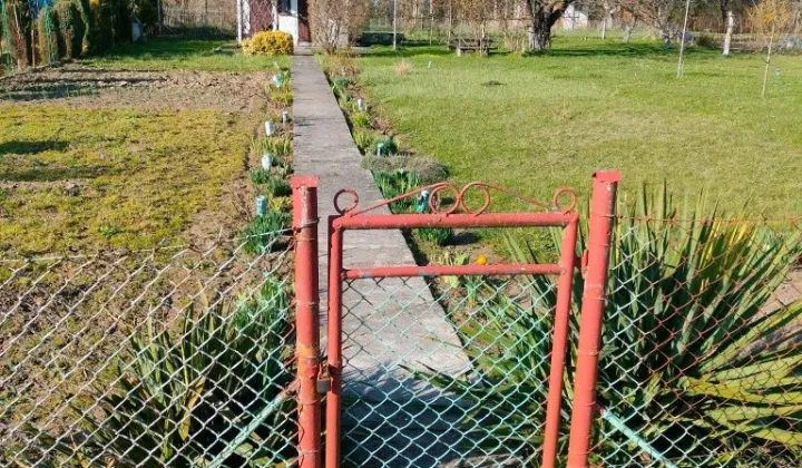 Działka rod Ziębice