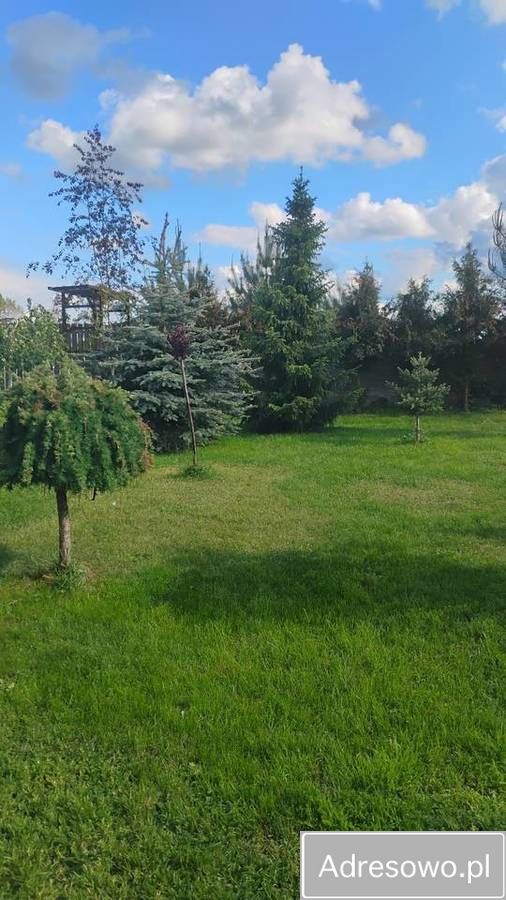 dom wolnostojący, 3 pokoje Dąbrowa. Zdjęcie 4