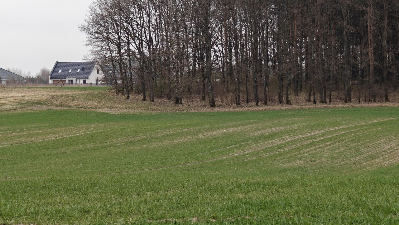 Działka budowlana Bolesławiec. Zdjęcie 3