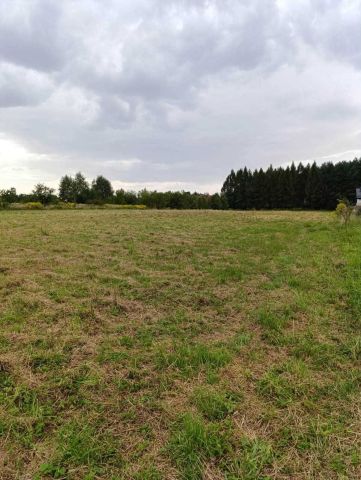 Działka budowlana Piła Kościelecka. Zdjęcie 1