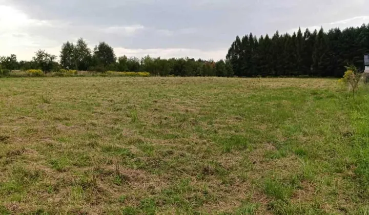 Działka budowlana Piła Kościelecka