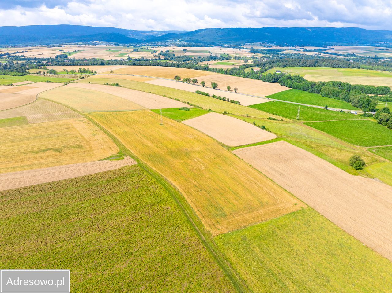 Działka rolna Stary Waliszów. Zdjęcie 7