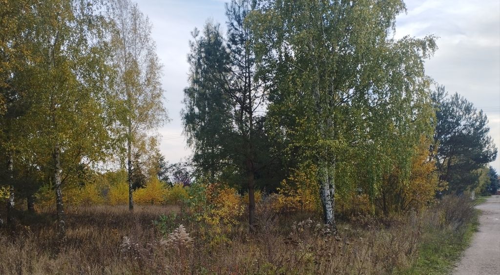 Działka budowlana Żelechów. Zdjęcie 1