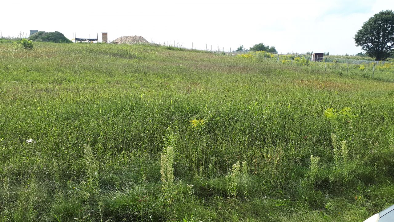 Działka budowlana Rzymiec. Zdjęcie 10