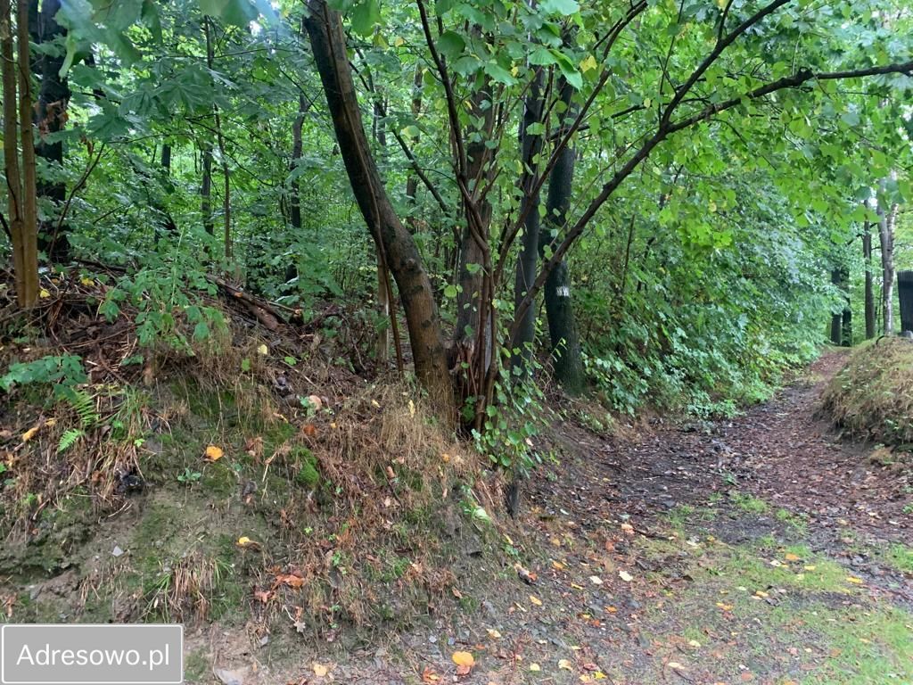 Działka budowlana Jarnołtówek. Zdjęcie 7