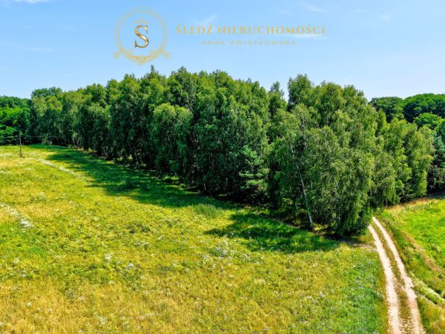 Działka budowlana Proszkowa. Zdjęcie 8