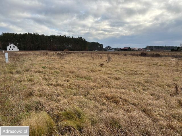 Działka budowlana Leśniów Wielki. Zdjęcie 1