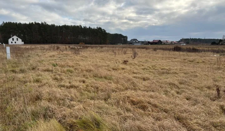 Działka budowlana Leśniów Wielki