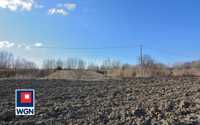 Działka rolna Nowakowo. Zdjęcie 7