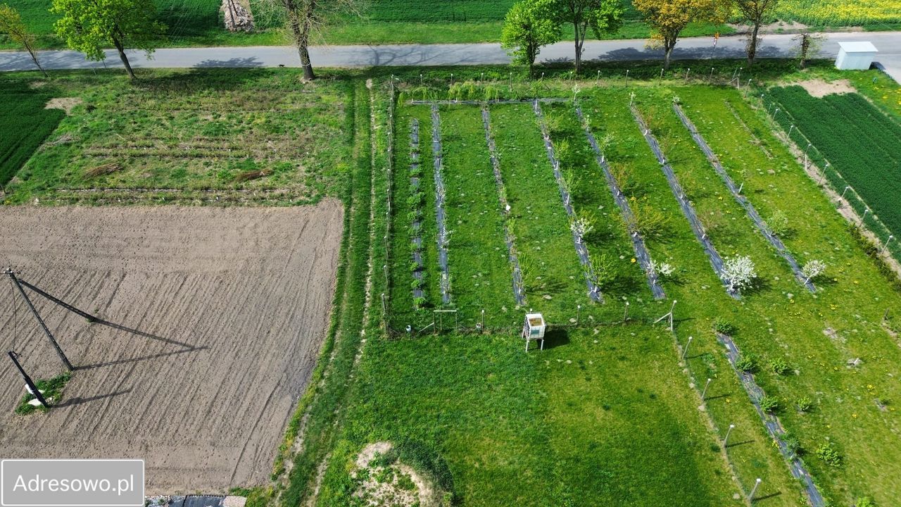 Działka rolno-budowlana Ustronie. Zdjęcie 4
