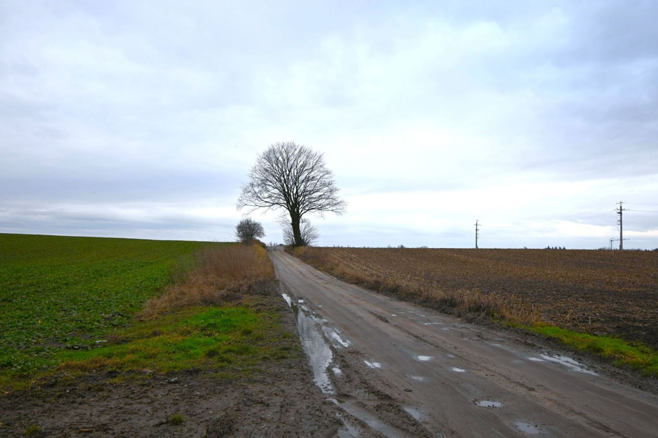 Działka rolna Tarnowo Podgórne, ul. Czereśniowa. Zdjęcie 5