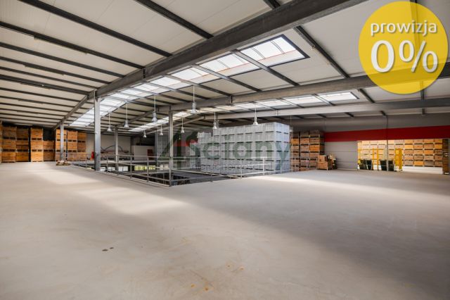 Hala/magazyn Konary. Zdjęcie 6