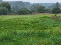 Działka rolna Sorbin Dule. Zdjęcie 4