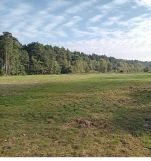 Działka budowlana Studzieniec. Zdjęcie 2