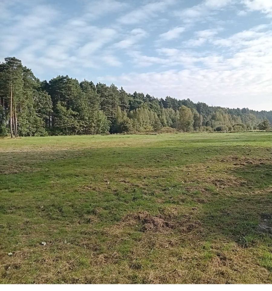 Działka budowlana Studzieniec. Zdjęcie 3