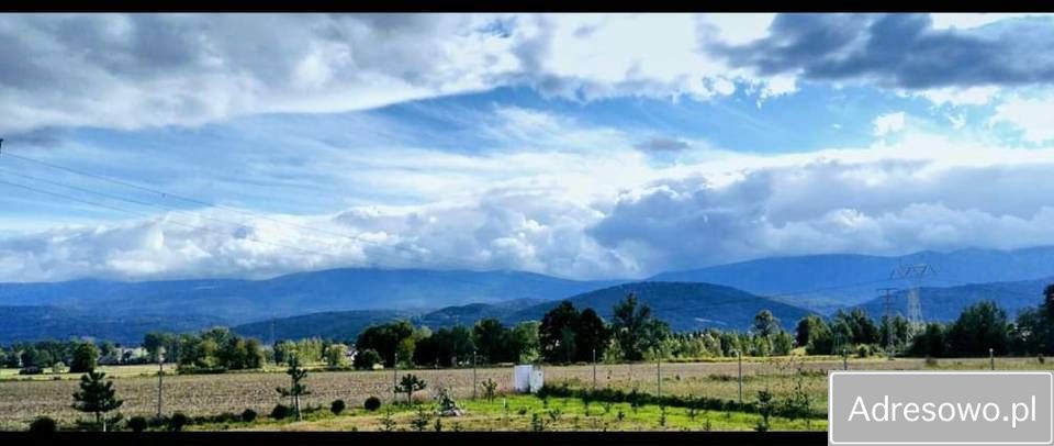 Działka rolna Wojcieszyce. Zdjęcie 7