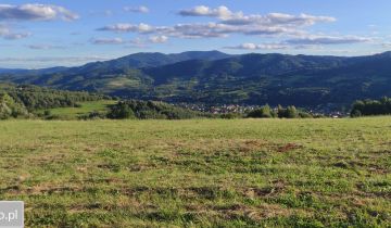 Działka rolna Wola Piskulina