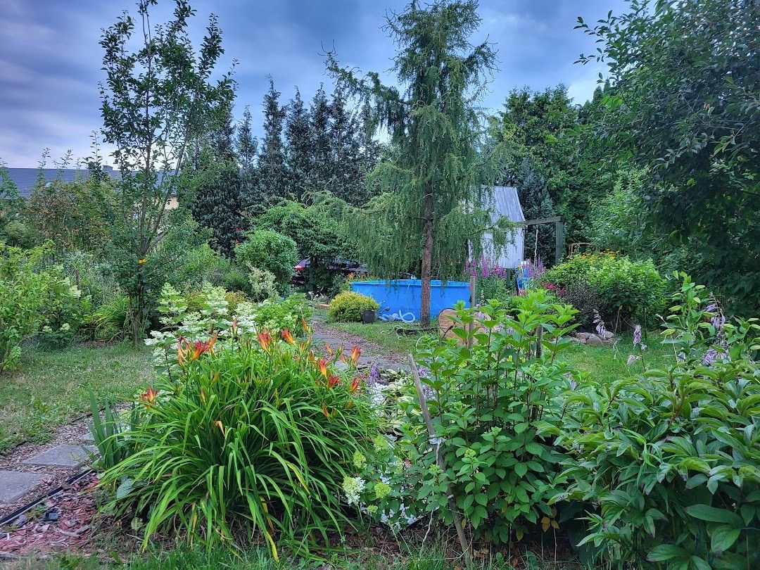 Działka rod Grodzisk Mazowiecki, ul. Akacjowa. Zdjęcie 5