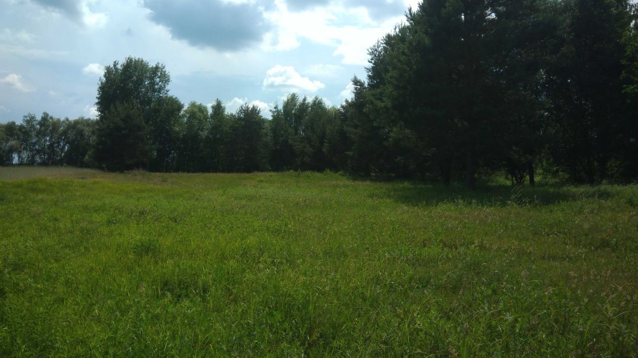 Działka rolno-budowlana Korzeń Królewski. Zdjęcie 5