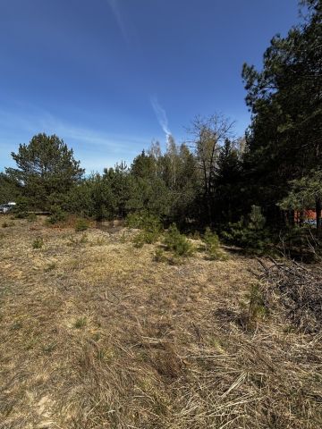 Działka rekreacyjna Dzbądzek. Zdjęcie 10