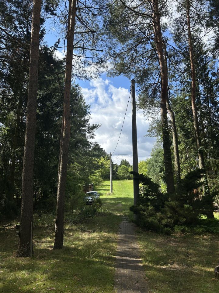 Działka rolno-budowlana Popielżyn Górny. Zdjęcie 7