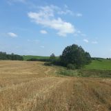 Działka rolno-budowlana Bałamutowo. Zdjęcie 3