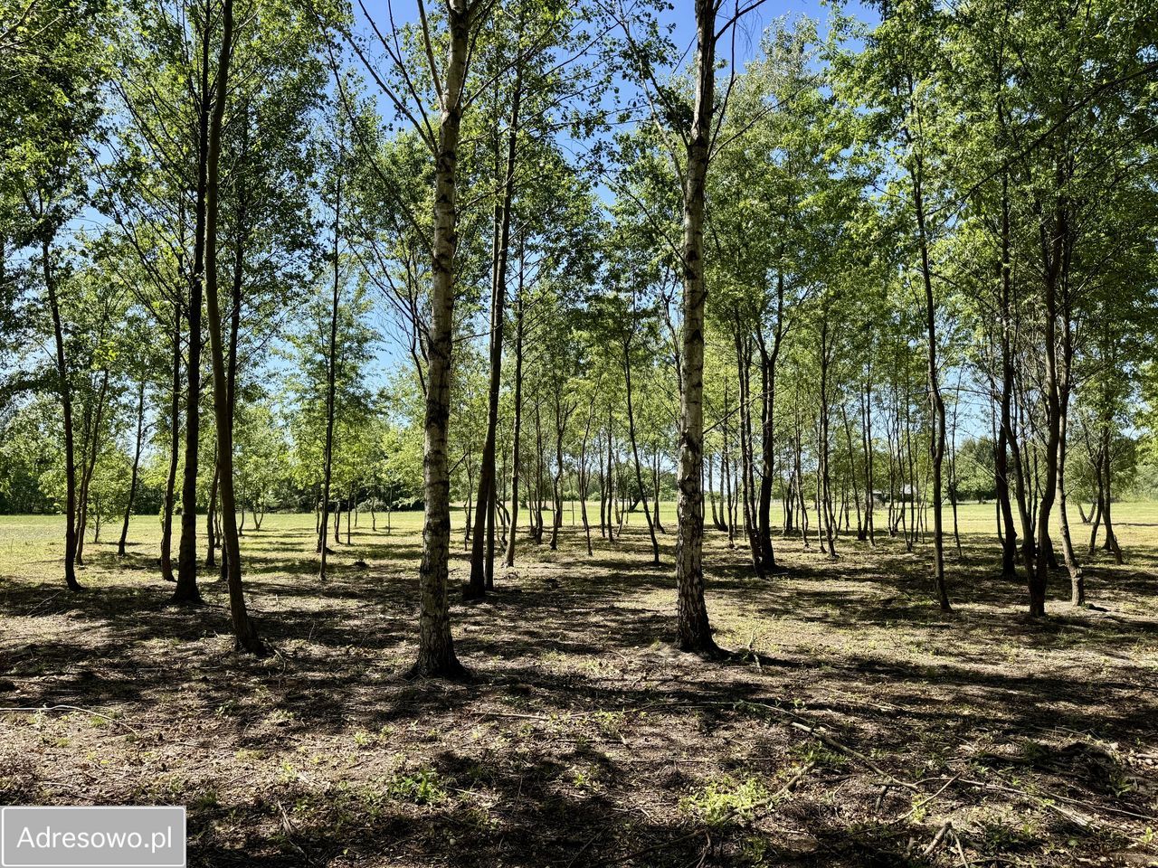 Działka budowlana Antoninów. Zdjęcie 20
