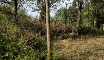 Działka rekreacyjna Łódź Bałuty, ul. Romanowska