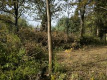 Działka rekreacyjna Łódź Bałuty, ul. Romanowska