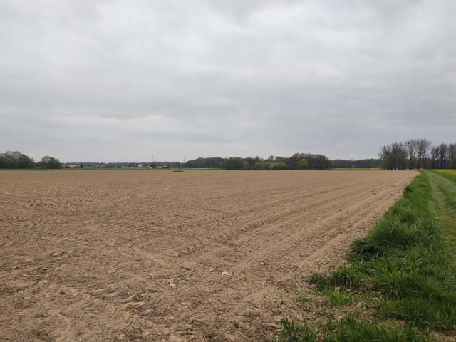 Działka siedliskowa Pruchna. Zdjęcie 1