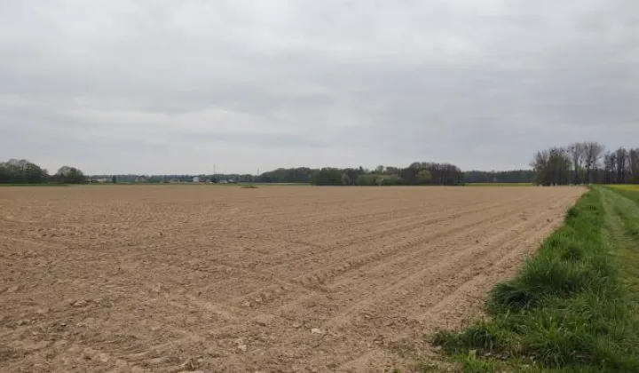 Działka siedliskowa Pruchna