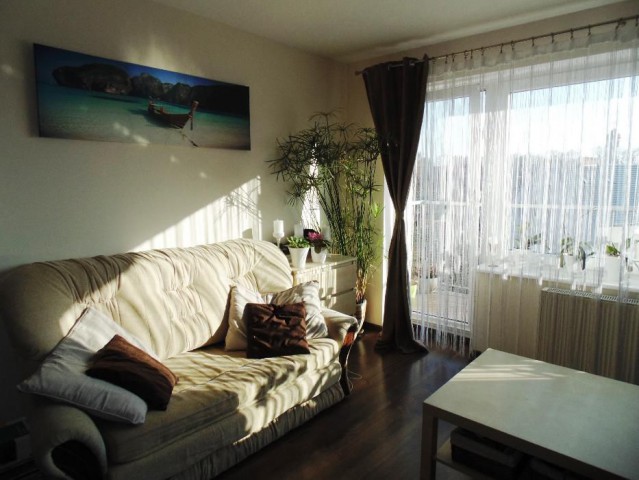 Mieszkanie 1-pokojowe Żary, ul. Okrzei. Zdjęcie 1