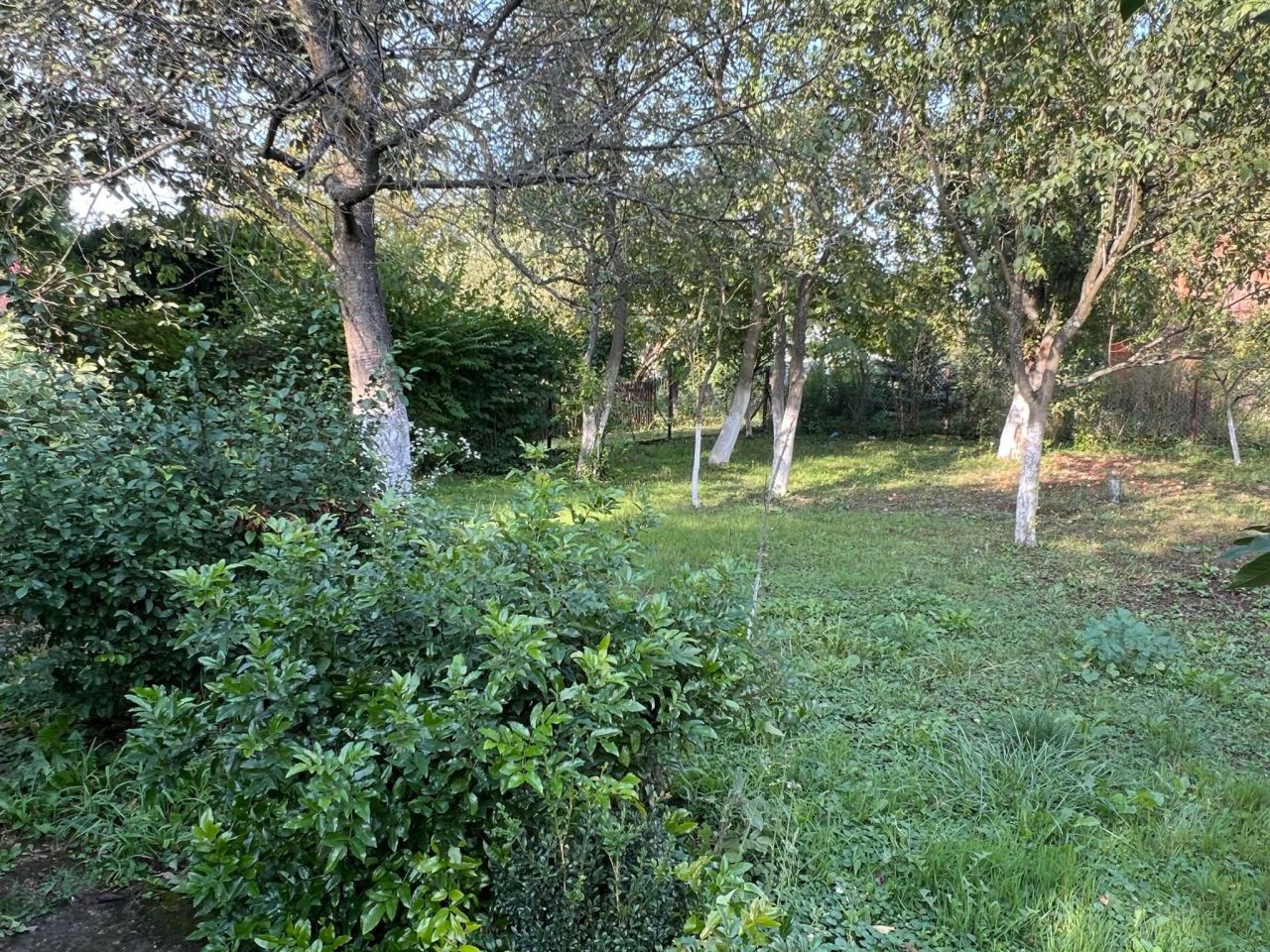 Działka rod Przemyśl Wilcze. Zdjęcie 5