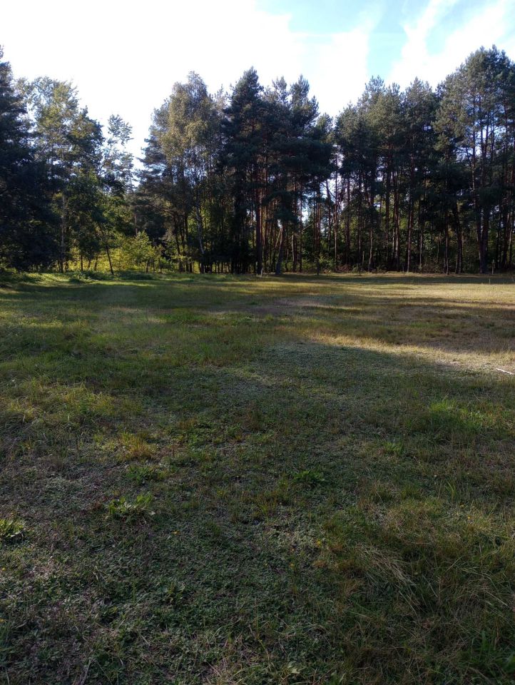 Działka rekreacyjna Radawa. Zdjęcie 6